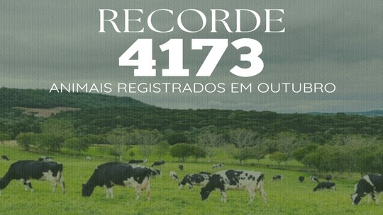 Batemos mais um recorde 2025!